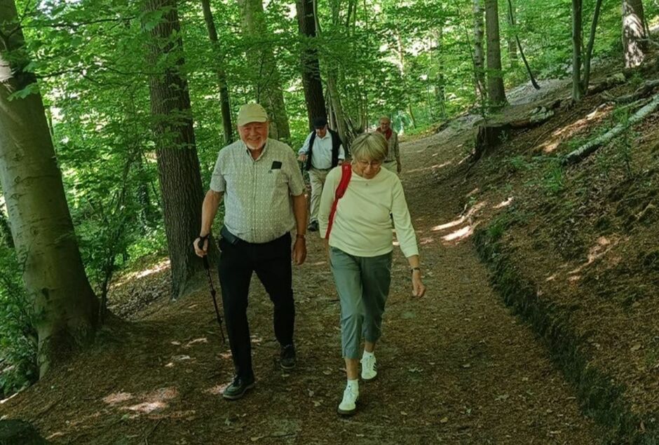TRES BELLE BALADE ORGANISEE AU DEPART DU BOIS DES REVES !